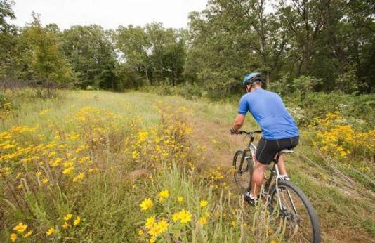 Canaan Conservation Area Bicyclist