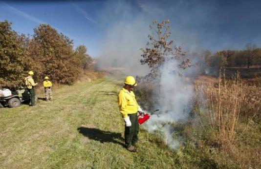 A man uses a drip torch to begin a controlled fire on a field.
