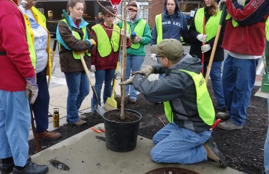 A volunteer shows other volunteers how to plant, prune, and care for trees in urban areas.