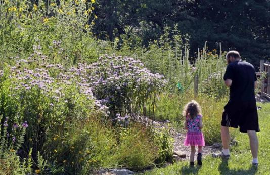 A man and his young daughter look at native plants in a landscape