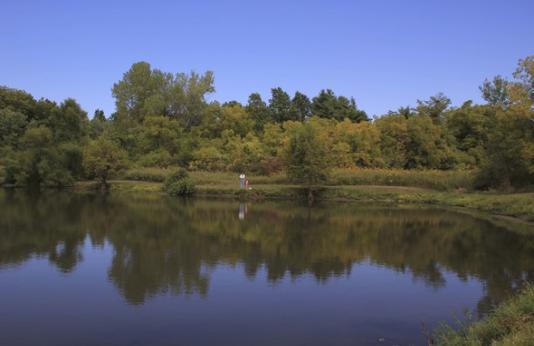 A large pond with a grassy bank and trees