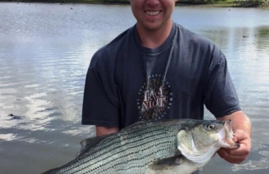 James Lucas holds his record hybrid striped bass on the banks of the Mississippi