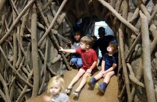 Kids in Cape Nature Center Play Area
