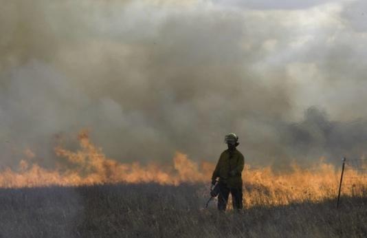 A controlled burn in a dry field.