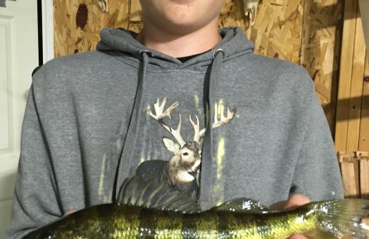 Isaac Bohm poses with his first state record yellow perch caught using alternative methods.