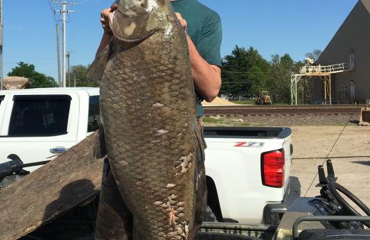 Joshua Lee poses with his 76-pound black buffalo shot April 21 at Duck Creek Conservation Area Pool 1.