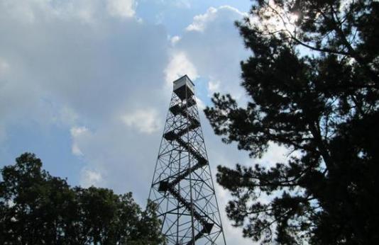 A towersite at a conservation area in the central region.