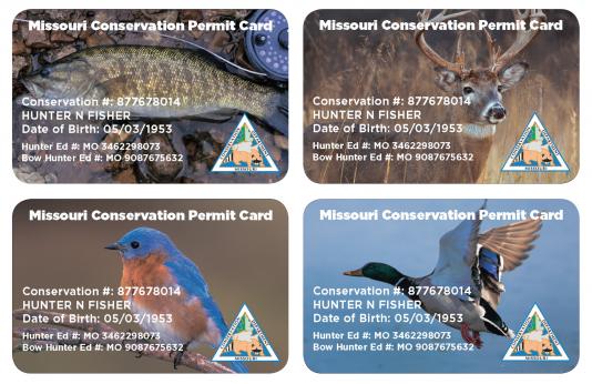 Permit Card Images