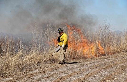 An MDC employee manages a prescribed burn.