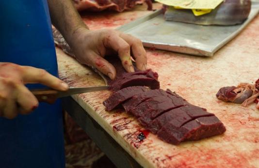 Hunter cutting venison meat