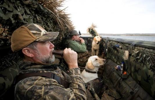 Two hunters with their bird dogs in a waterfowl blind.