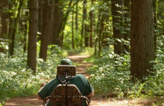 A man in an outdoor wheelchair hiking through the forest.