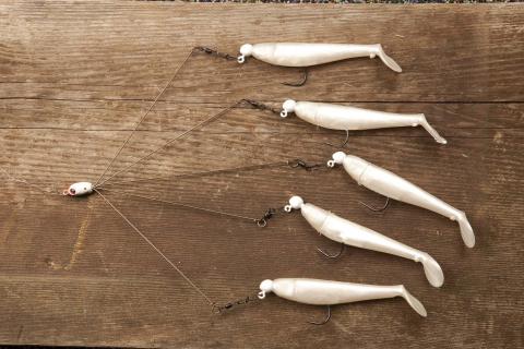 five white plastic baits, all with hooks, attached to a single line
