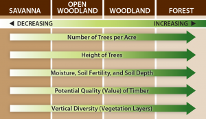 Table showing how number of trees differs between savanna, open woodland, woodland, and forest habitats. 