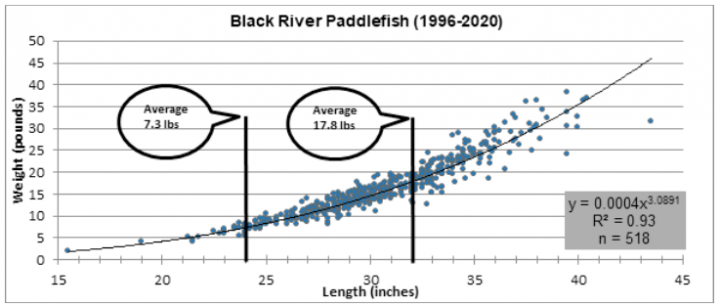 Chart showing the relationship between weight and length of paddlefish on the Black River