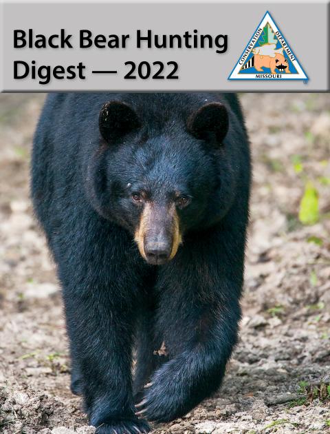Black Bear Hunting Digest 2022 cover