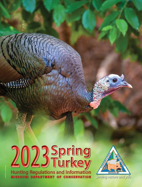 A bearded turkey is glimped through the underbrush on the cover of the 2023 Spring Turkey Regulations booklet.