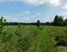 William S. Lowe Conservation Area, Audrain County, view of trail through grassland