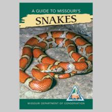 A Guide to Missouri’s Snakes	