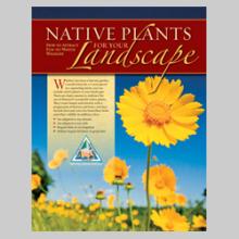 Native Plants for your Landscape