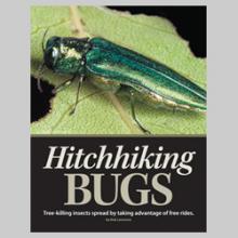 Hitchhiking Bugs