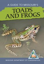 Missouri Toads and Frogs