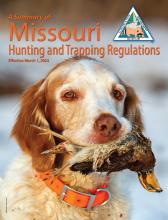 A retriever dog holds a bird in its mouth on the 2023 Hunting and Trapping Regulation Summary cover.