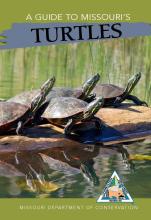 Missouri’s Turtles