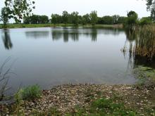 Lancaster (Paul Bloch Memorial Pond)