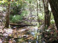 creek at Massengill (Richard) CA