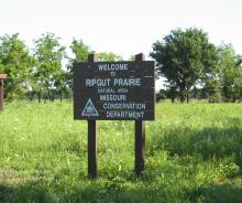 Entrance sign at Ripgut Prairie NA
