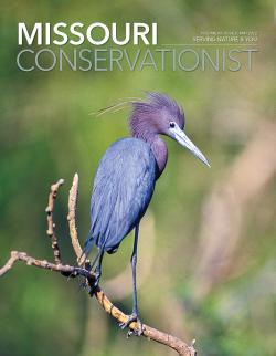 Conservationist cover 05-2022