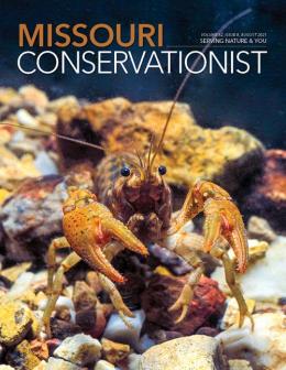 August Conservationist cover