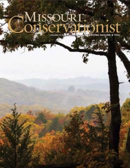 Missouri Conservationist Cover 11-2016 featuring fall colors through rolling hills near Rolla