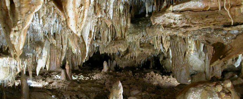 Photo of interior of Jacob's Cave showing a variety of speleothems.